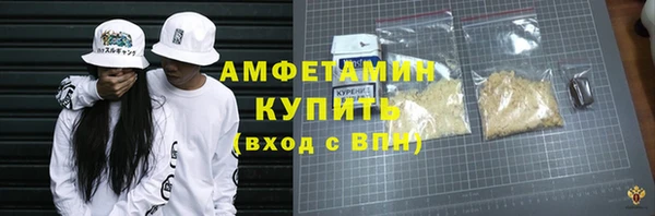 шишки Белокуриха