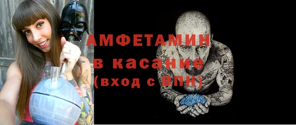 шишки Белокуриха