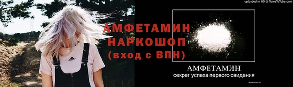 молекула духа Богородск