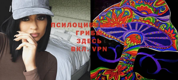 хмурый Богородицк