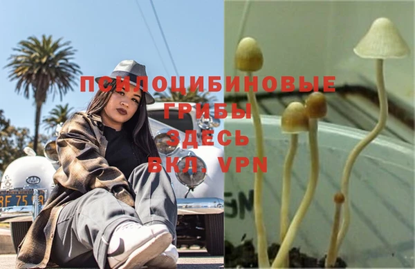 марки nbome Белоозёрский